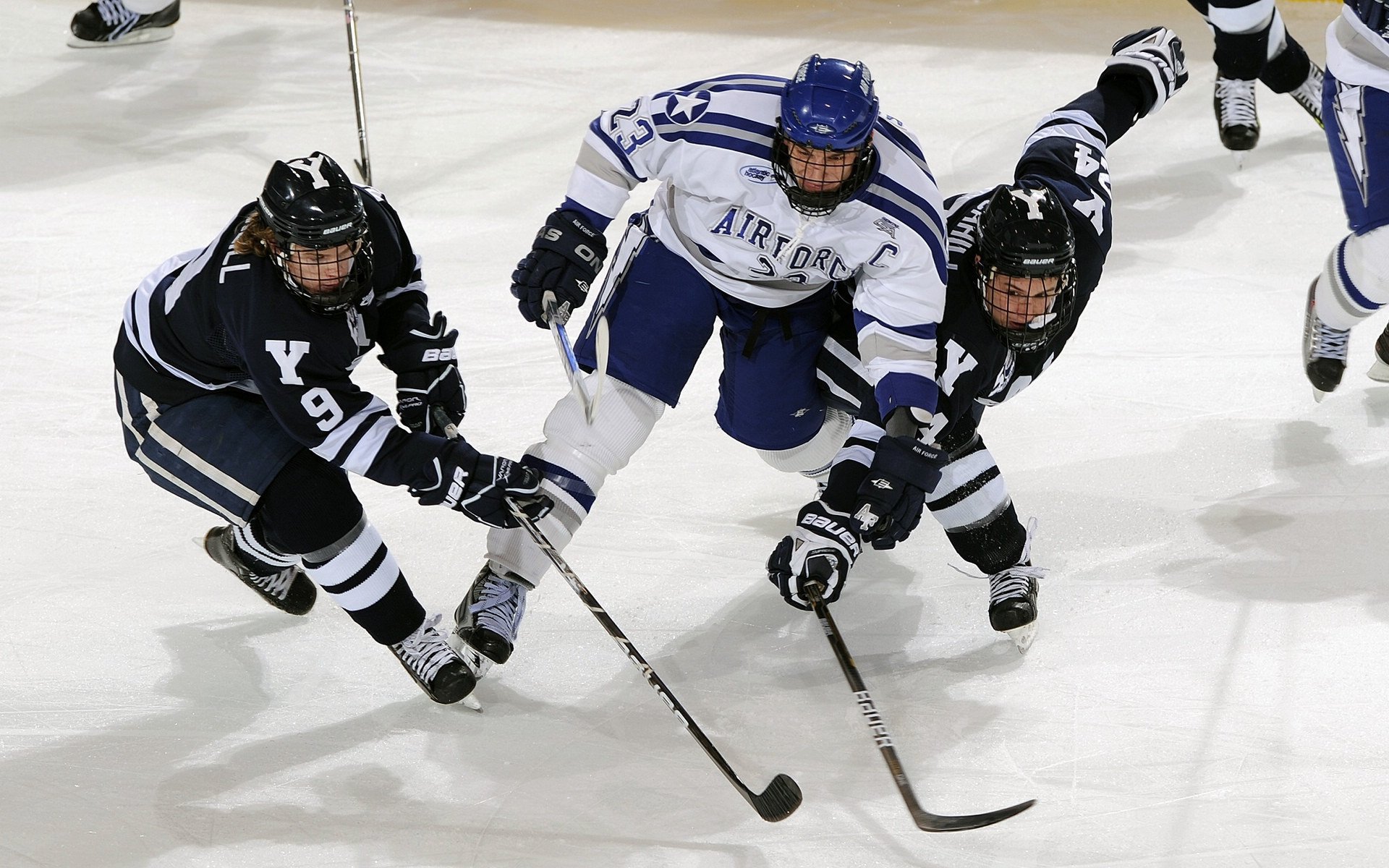 体育明星最新动态